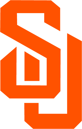Syracuse Orange 2004-2005 Primary Logo diy iron on heat transfer